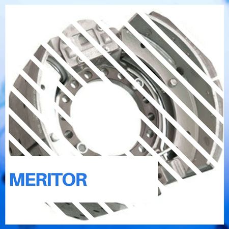 Meritor kategorisi için resim